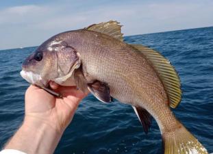 Отель Москва